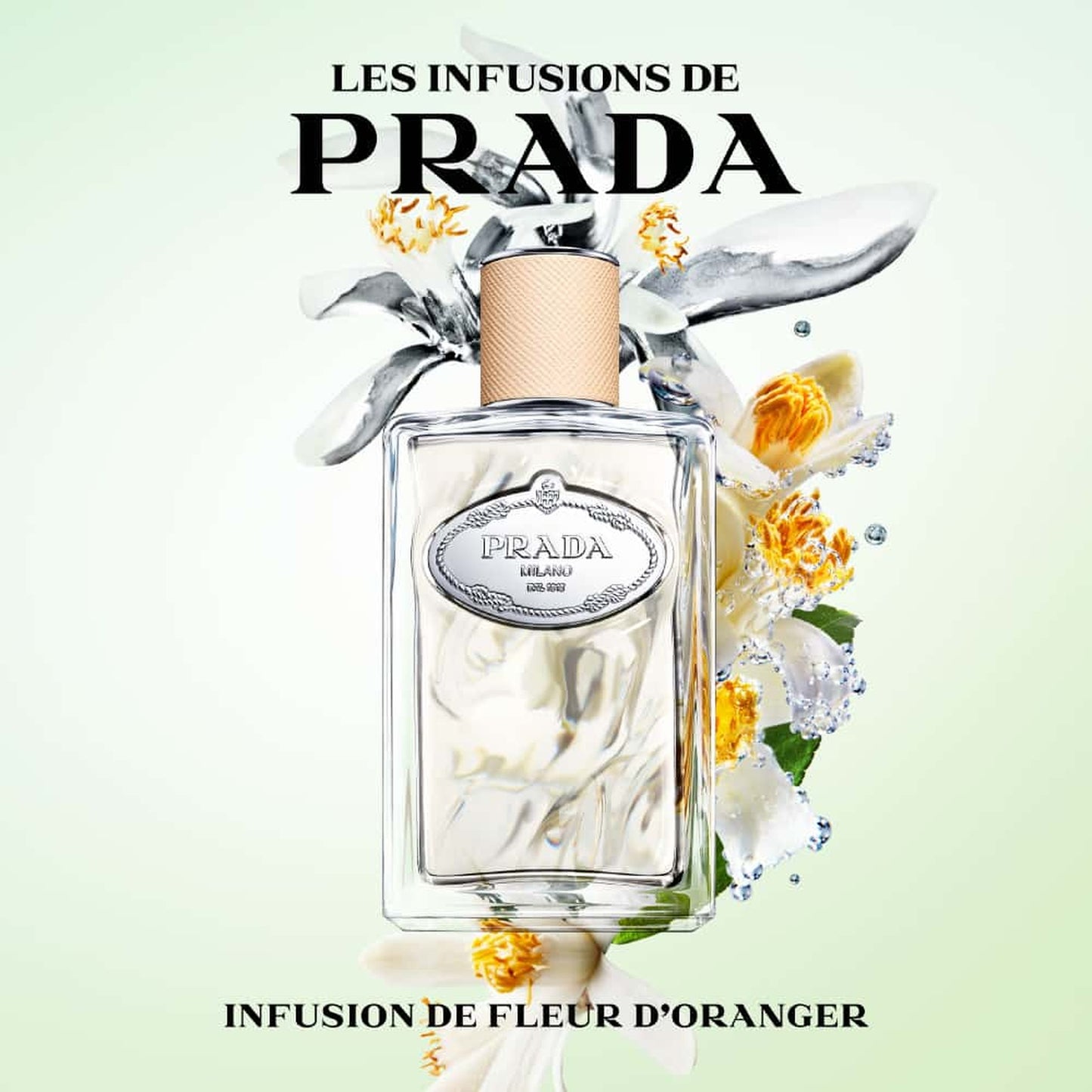 INFUSION DE FLEUR D'ORANGER