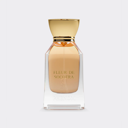 FLEUR DE SOCOTRA