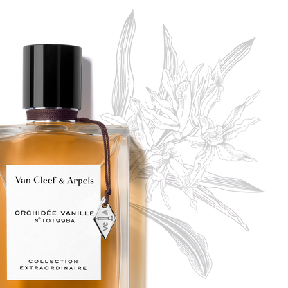 ORCHIDÉE VANILLE