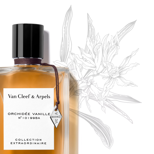 ORCHIDÉE VANILLE