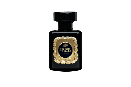 UN SOIR DE GALA