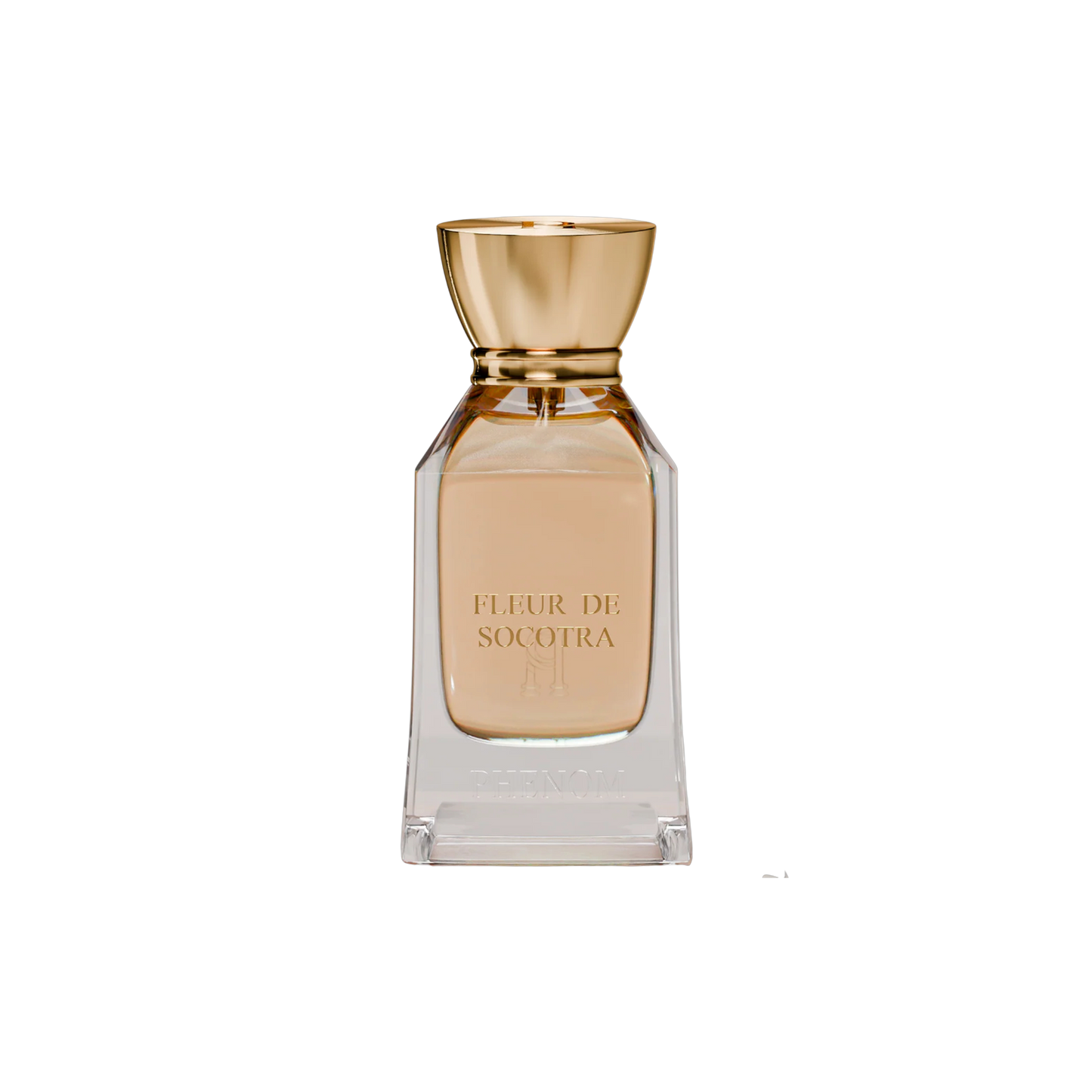FLEUR DE SOCOTRA