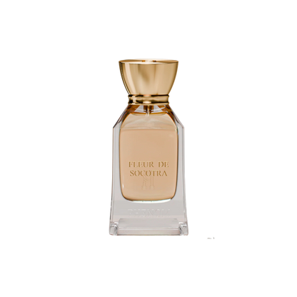 FLEUR DE SOCOTRA