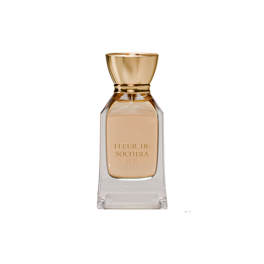 FLEUR DE SOCOTRA